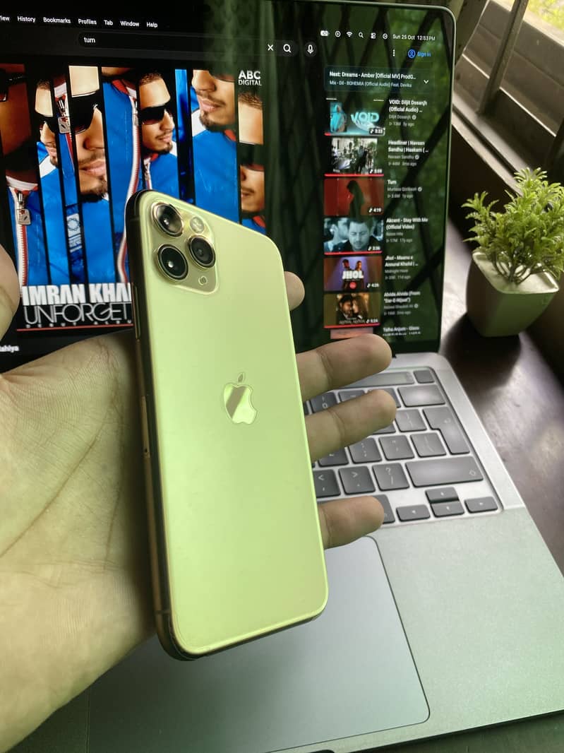 Apple iPhone 11 Pro 10