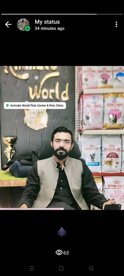 Mubeen Rajput 