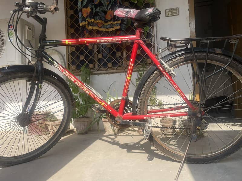 Red Bicycle 1