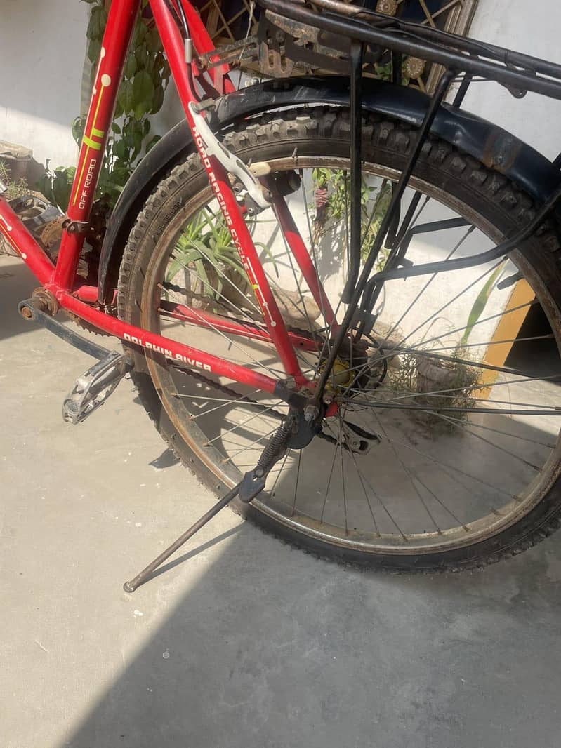 Red Bicycle 3