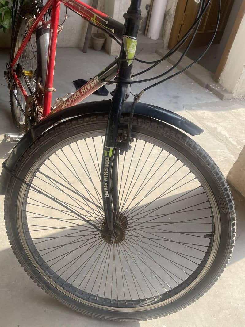 Red Bicycle 4