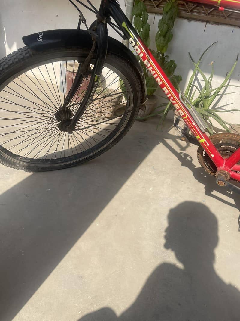 Red Bicycle 5