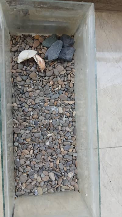 Handmade fish aquarium/Big in size/Reliable.