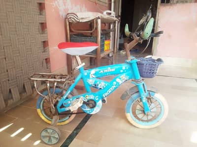 Morgan girls bicycle for sale