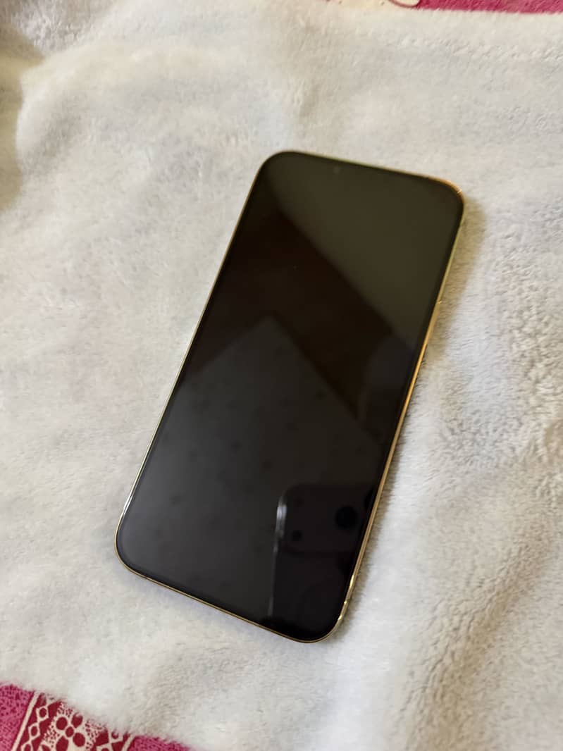 Apple iPhone 13 Pro Max 1