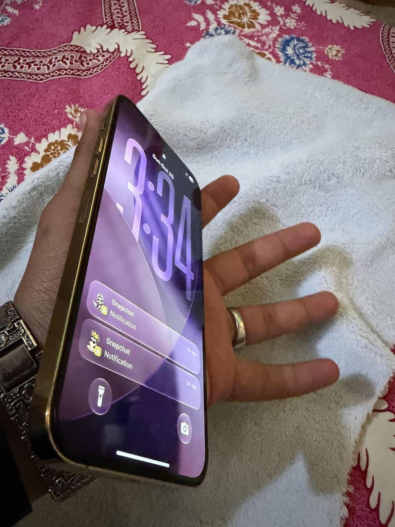 Apple iPhone 13 Pro Max 4