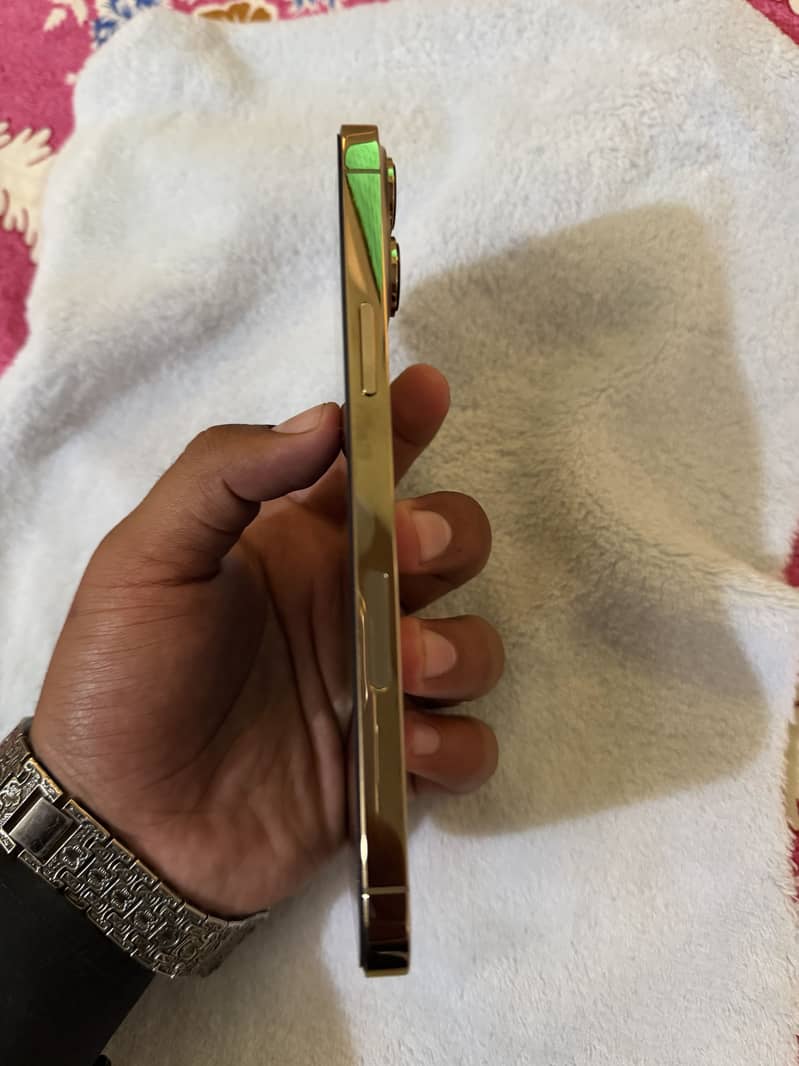 Apple iPhone 13 Pro Max 5