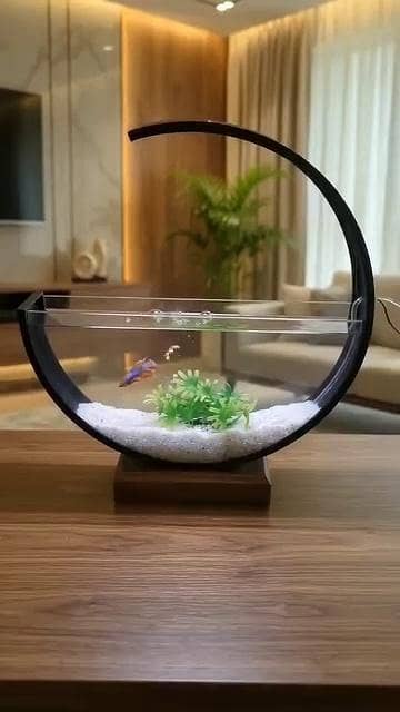 Moon Aquarium 2