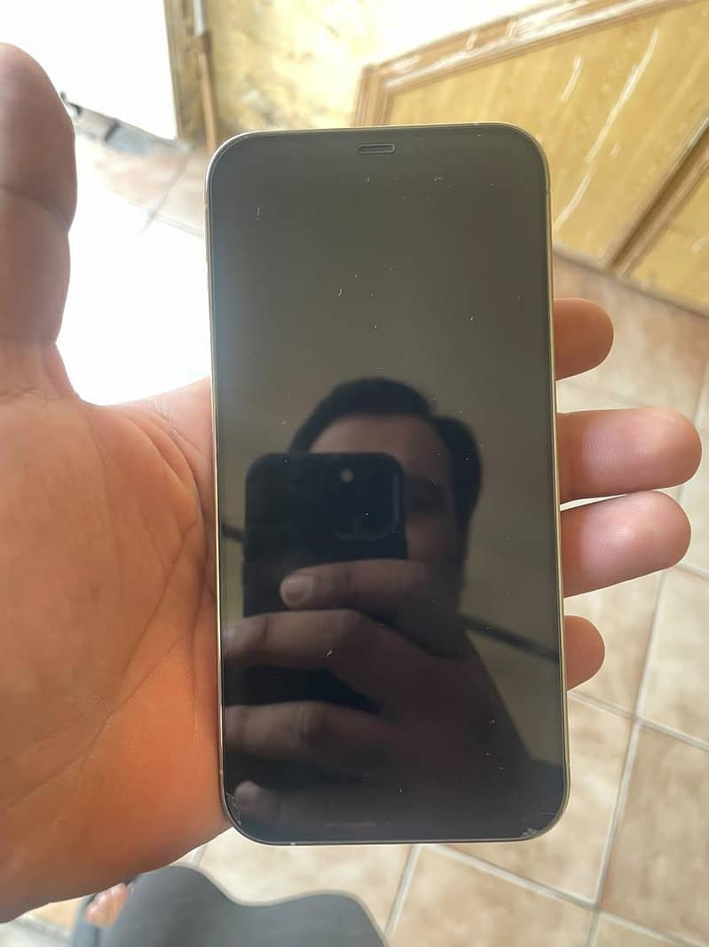 Apple iPhone 12 Pro Max 1