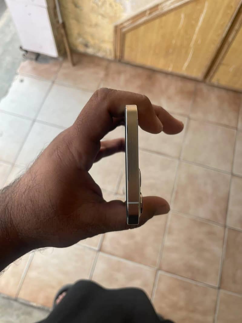Apple iPhone 12 Pro Max 2