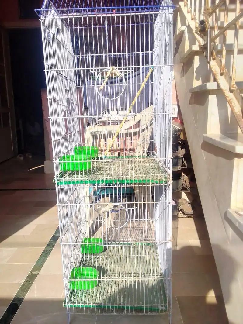 new 2 portion master cage available for sale — photo 3