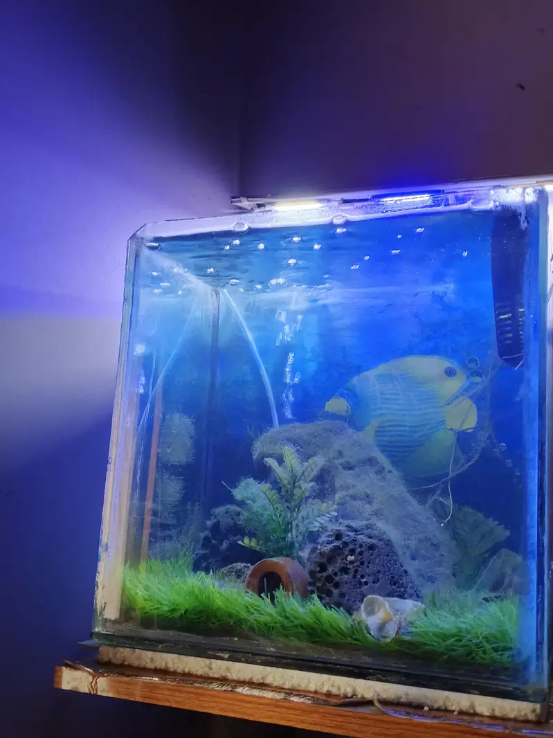 Fish tank with decorations — photo 3