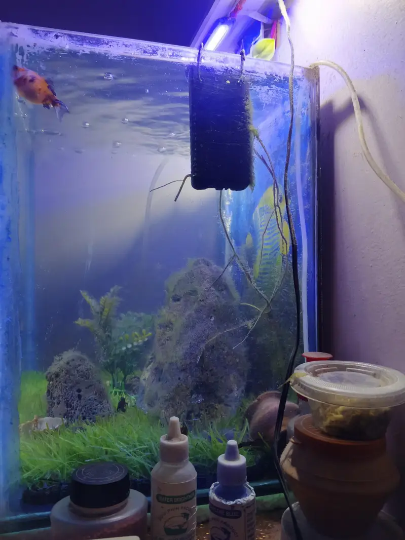 Fish tank with decorations — photo 4