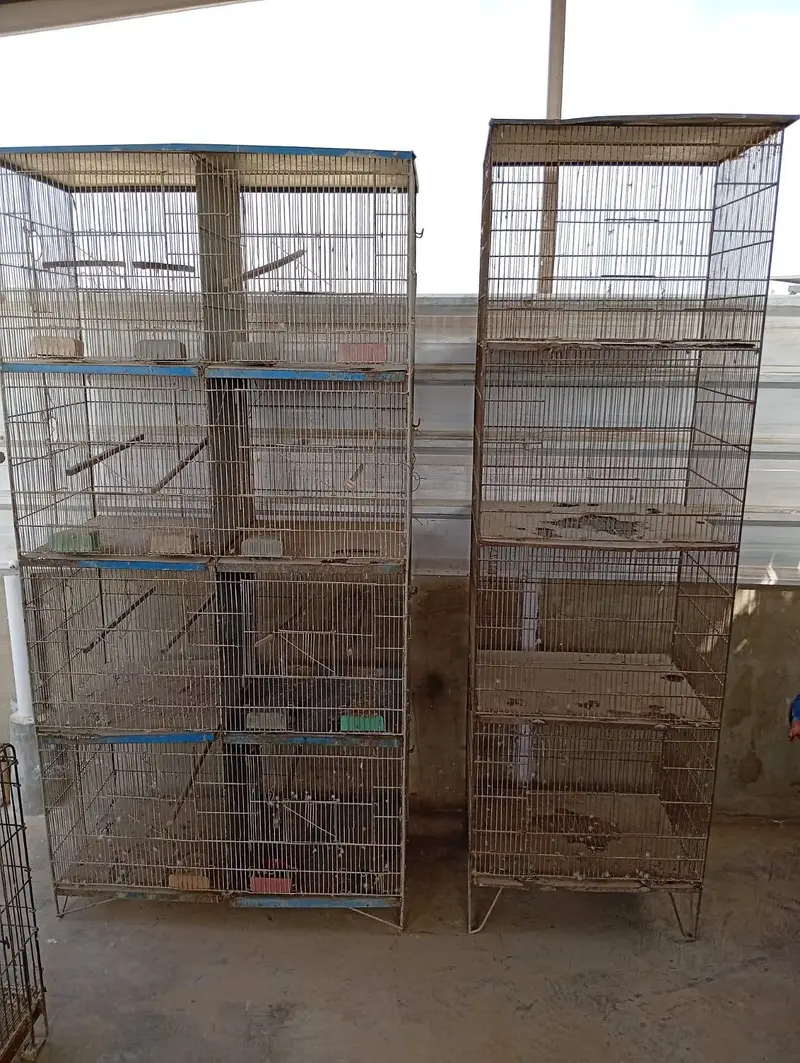 Raw Pair For Sale, Boxes And Cages For Sale. — photo 10
