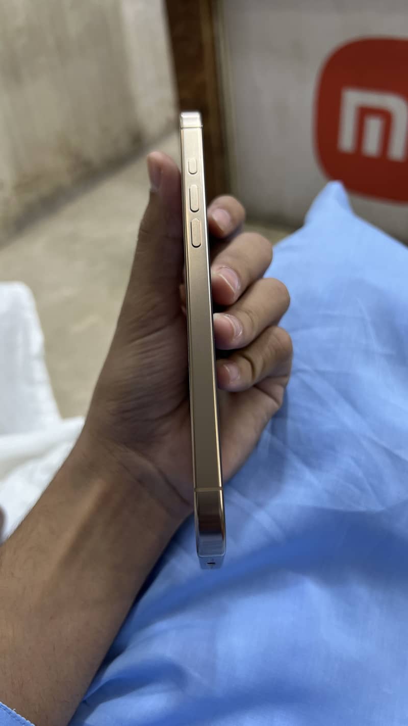 Apple iPhone 16 Pro Max 2