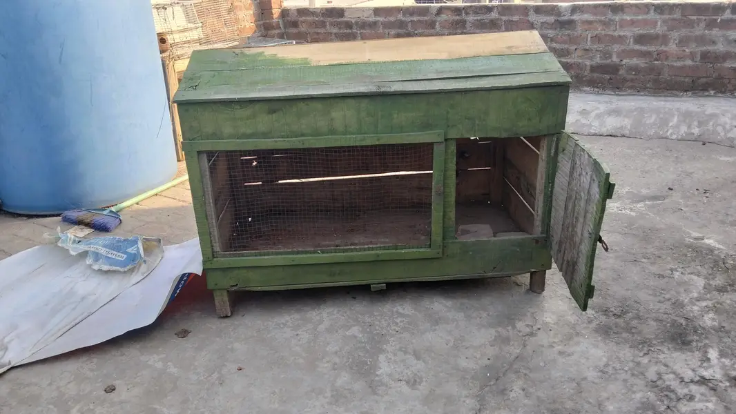 Aseel hens house big cage for hens — photo 2
