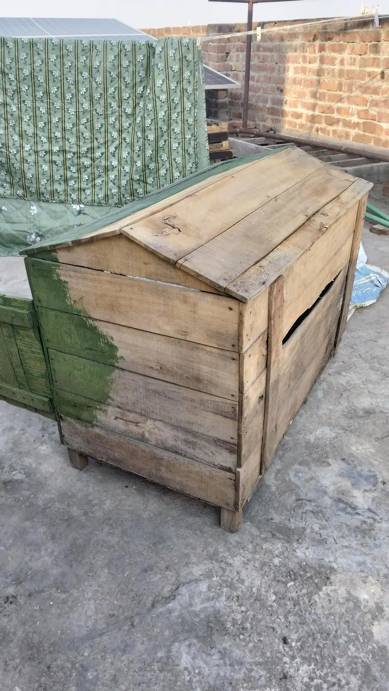 Aseel hens house big cage for hens — photo 3