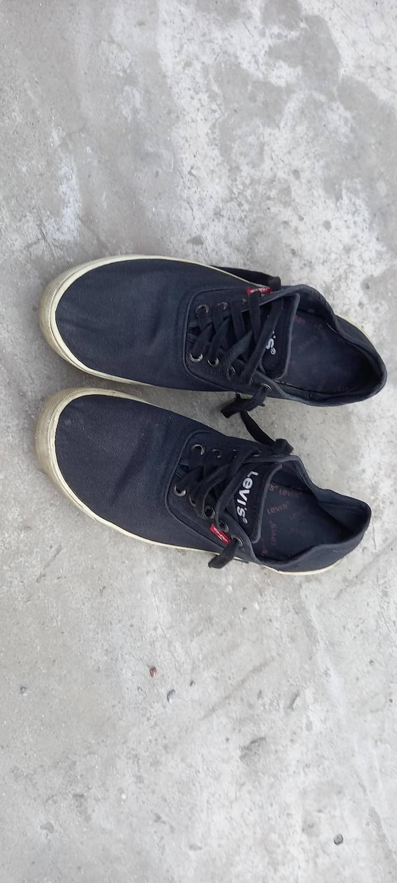 levis sneakers 1