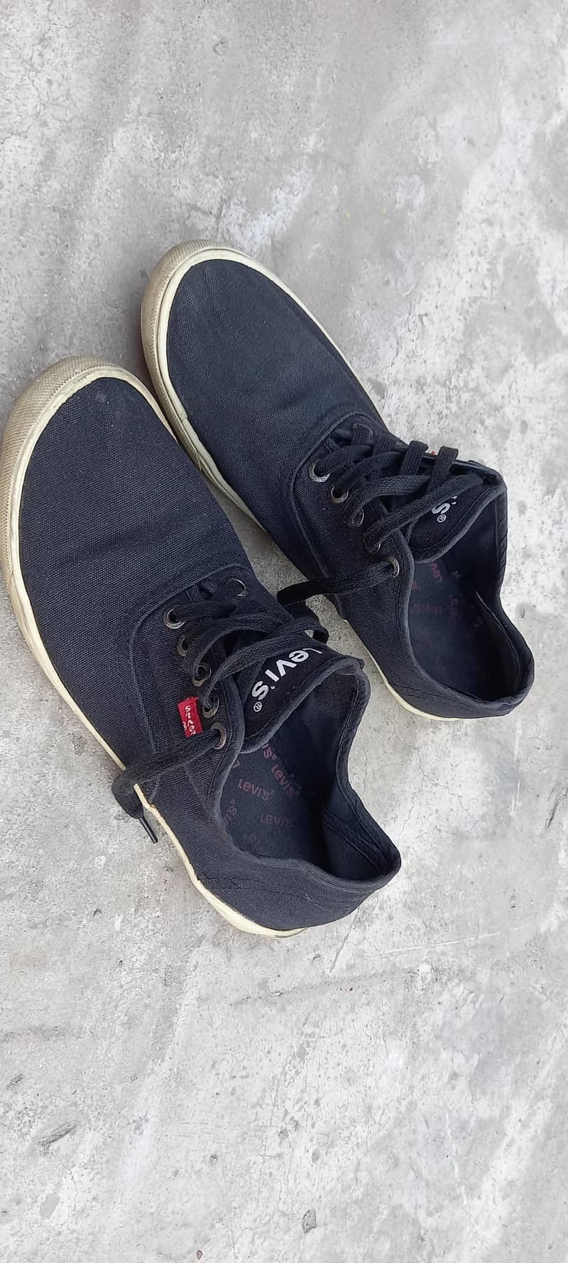 levis sneakers 2