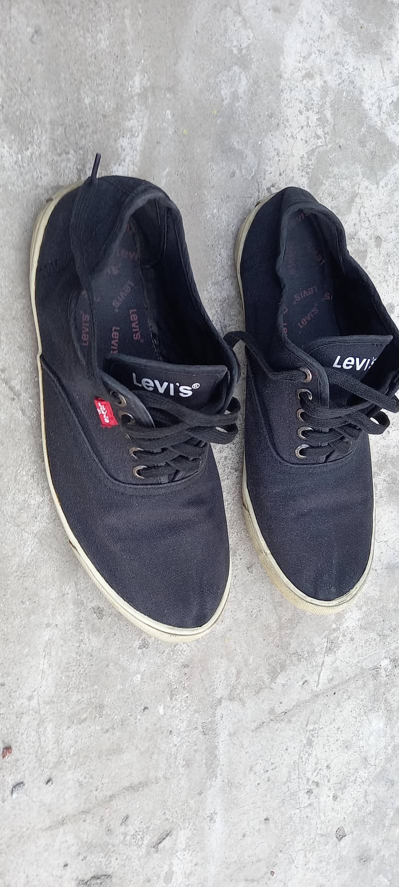 levis sneakers 4
