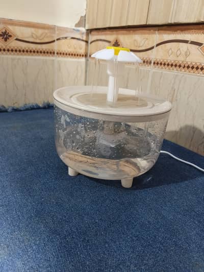Cat water fountain