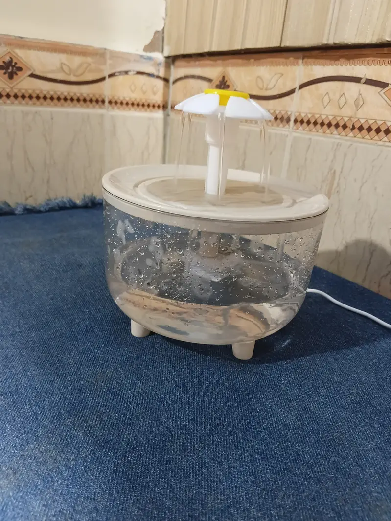 Cat water fountain