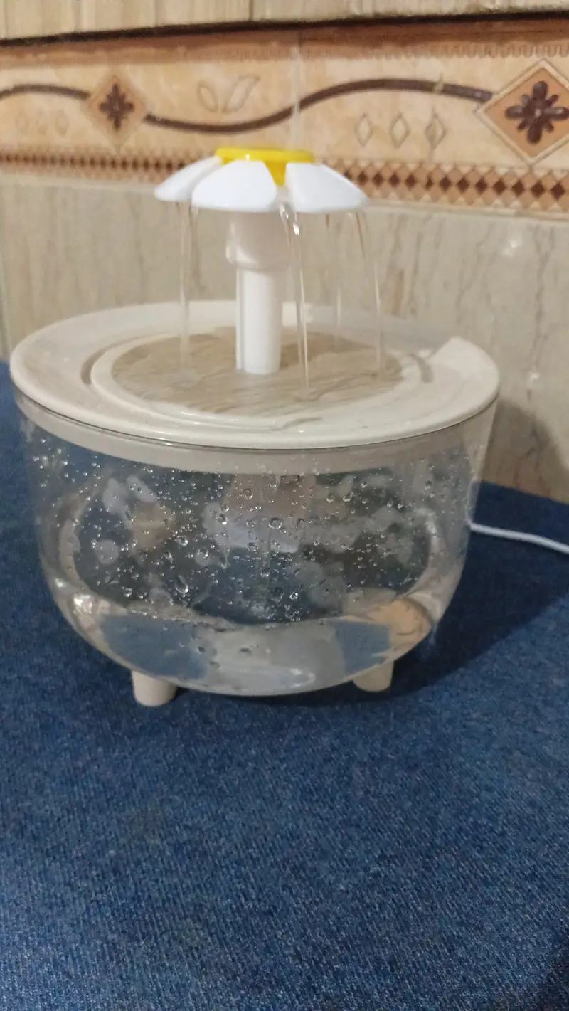 Cat water fountain — photo 3