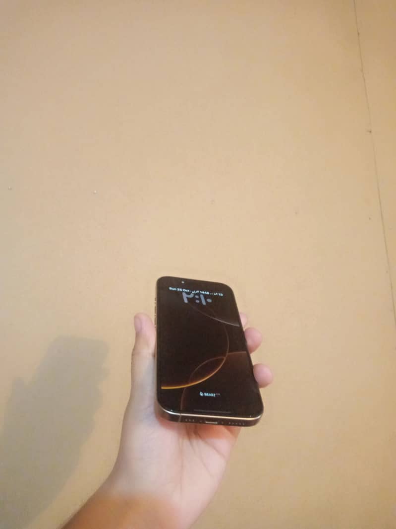 Apple iPhone 16 Pro 2