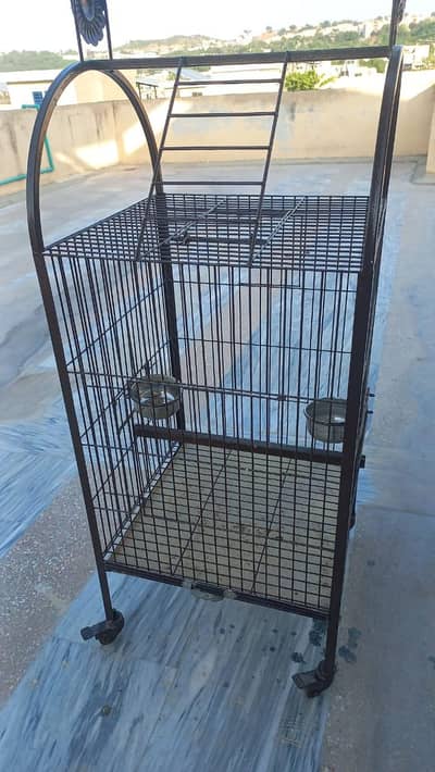 parrot cage