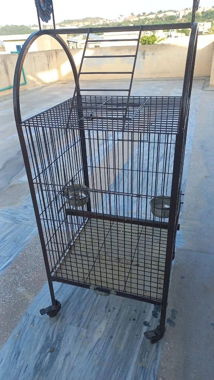 parrot cage 0