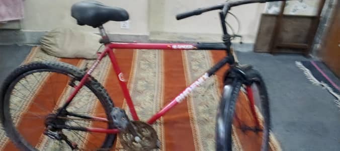Bicycle 26" Phoenix in best fram