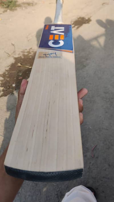 ENGLISH WILLOW CEAT BAT