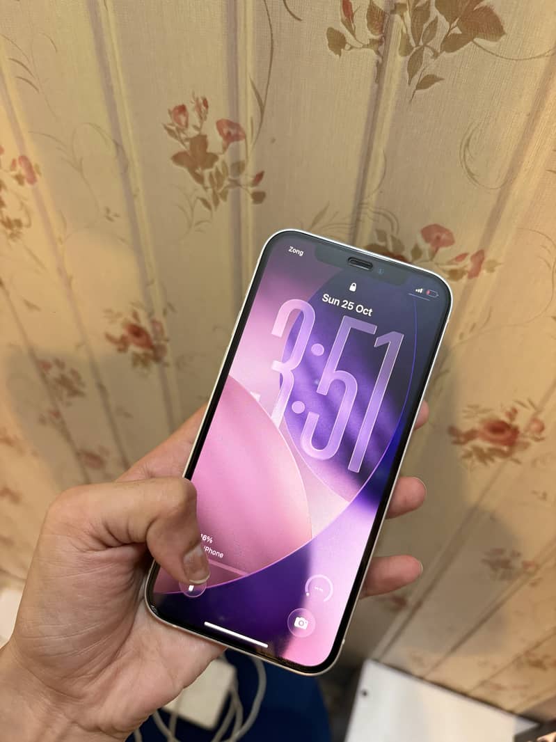 Apple iPhone 12 2