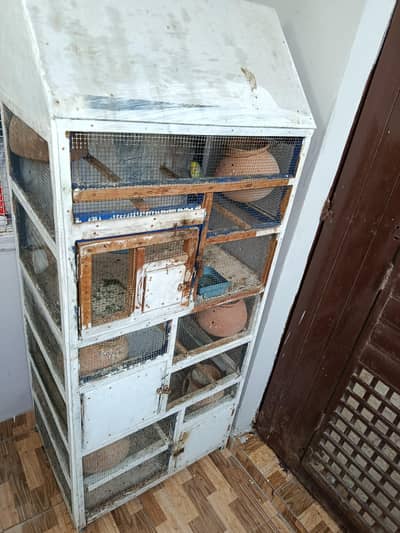 parrot cage