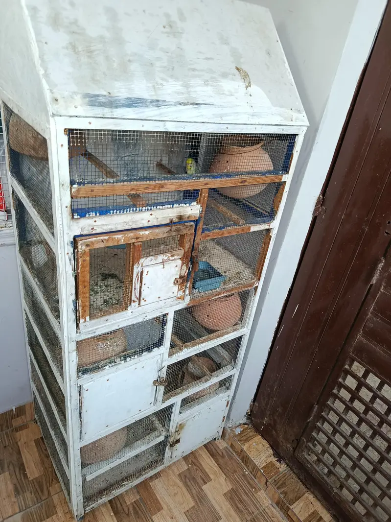 parrot cage