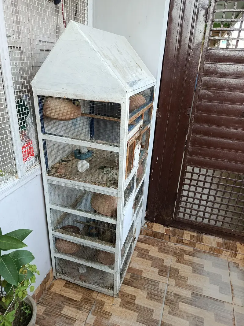 parrot cage — photo 2