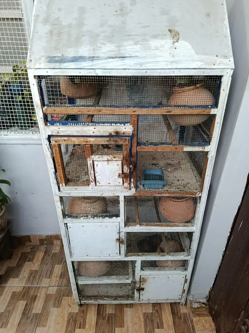 parrot cage — photo 3