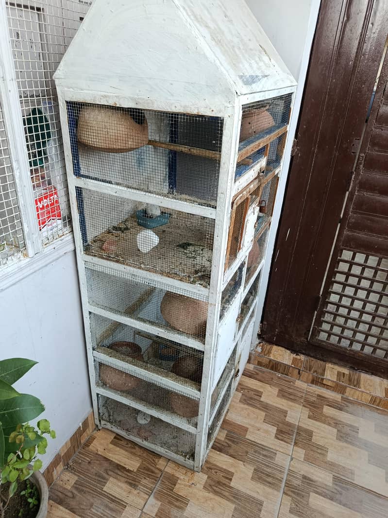 parrot cage 3