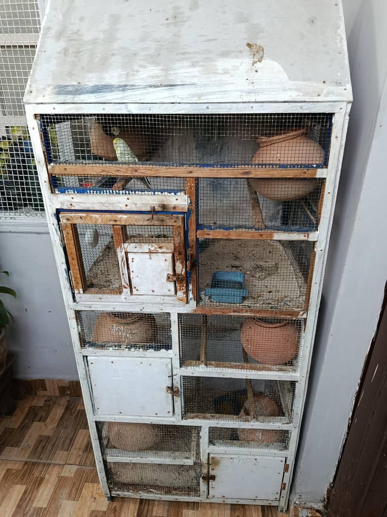 parrot cage 4