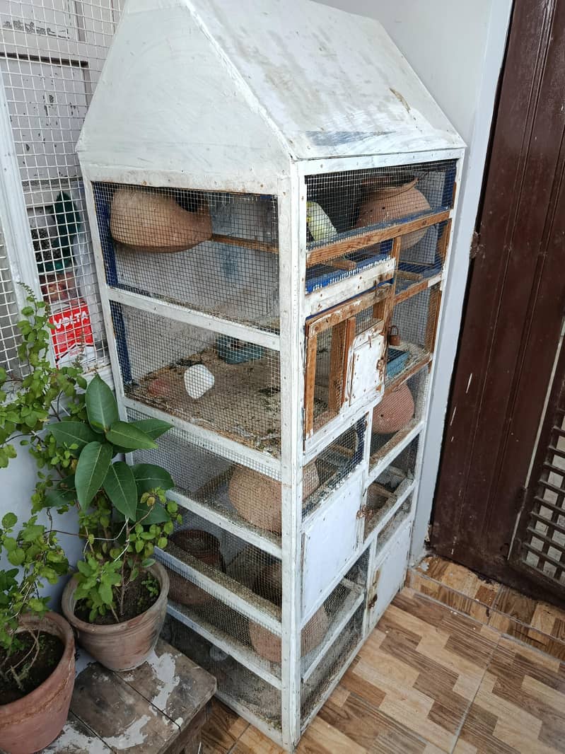 parrot cage 5