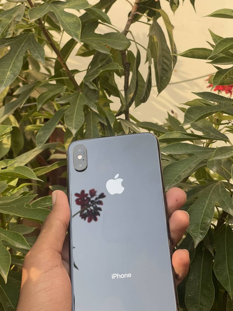 Apple iPhone XS Max 2