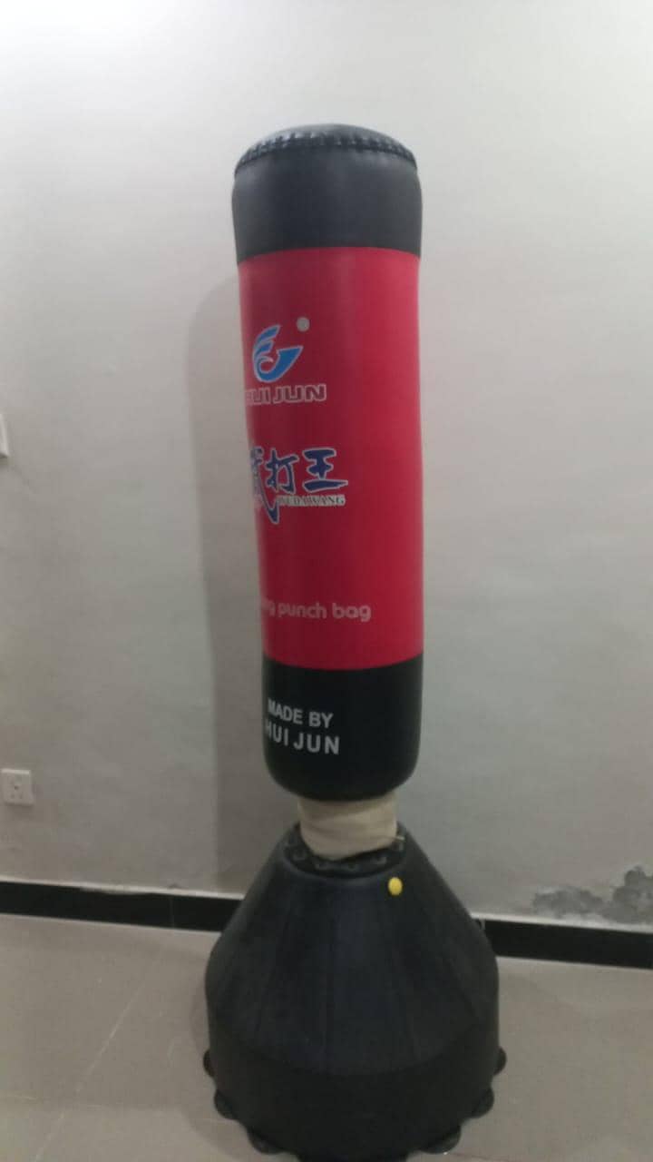 punching bag 1