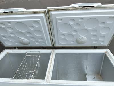 the freezer