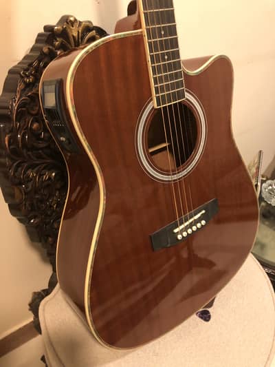 Semi Acoustic Guitar