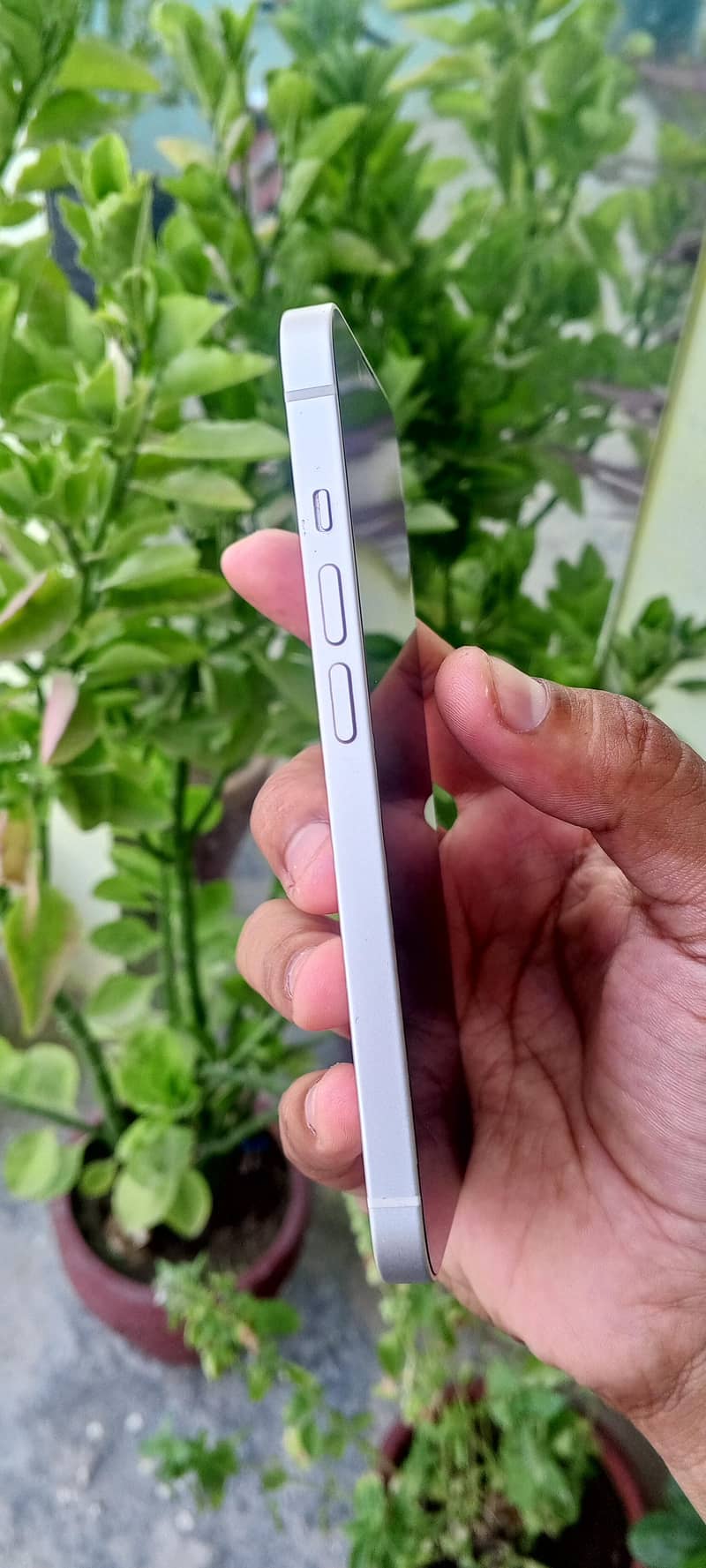Apple iPhone 14 2