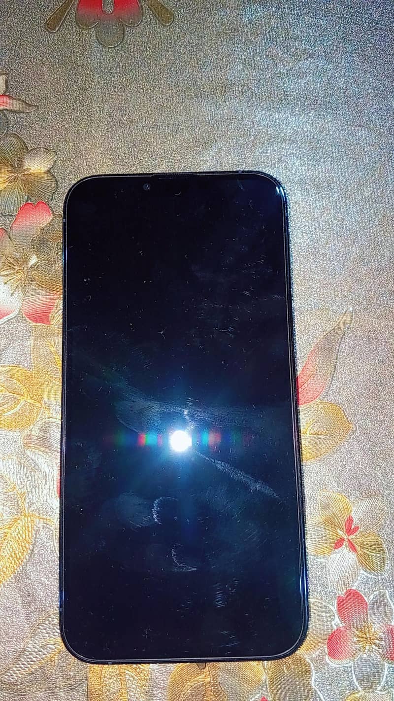 Apple iPhone 13 Pro Max 1