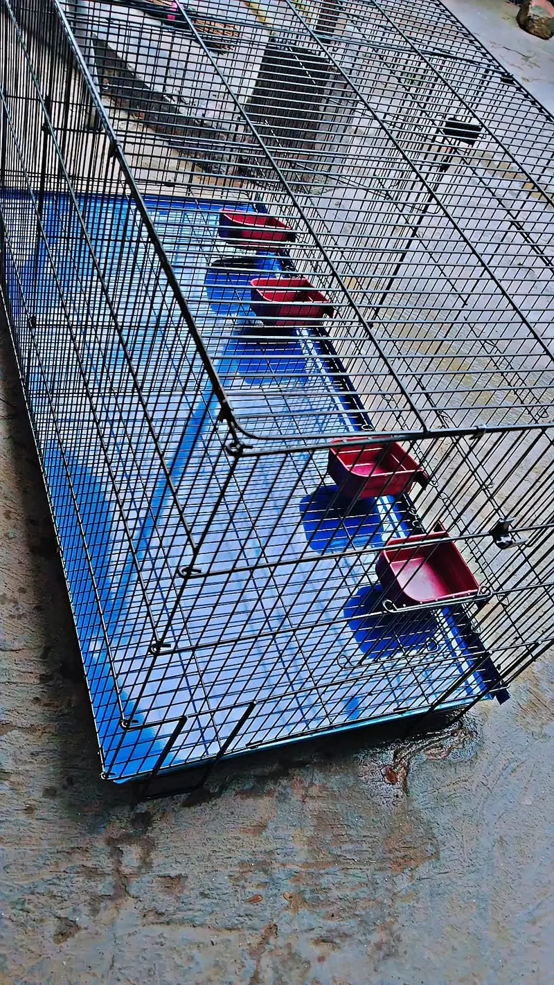 cage for sale
