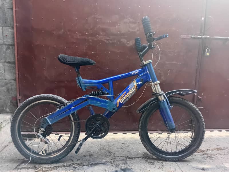 Geri Bicycle 1