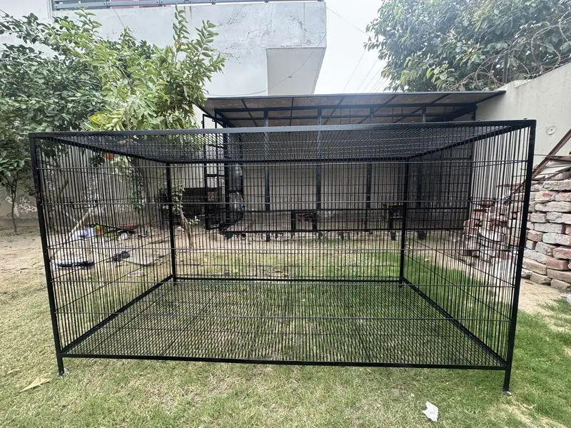 Iron cage for birds