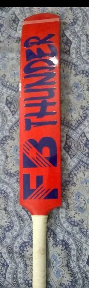 cricket bat 1